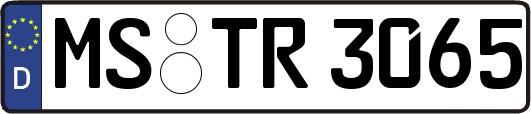 MS-TR3065