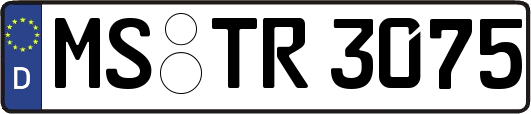 MS-TR3075