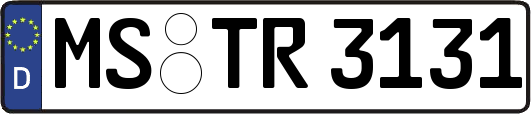 MS-TR3131