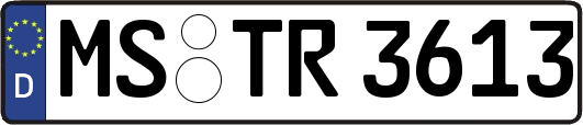 MS-TR3613