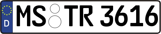 MS-TR3616
