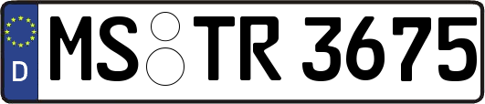 MS-TR3675