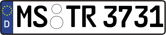 MS-TR3731