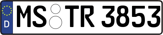 MS-TR3853