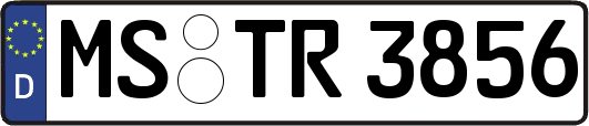 MS-TR3856