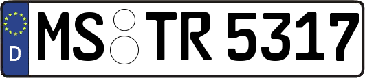 MS-TR5317