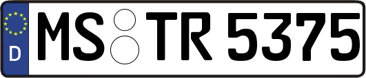 MS-TR5375