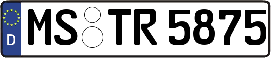 MS-TR5875