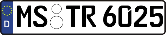 MS-TR6025