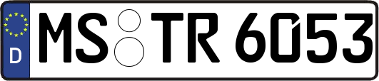 MS-TR6053