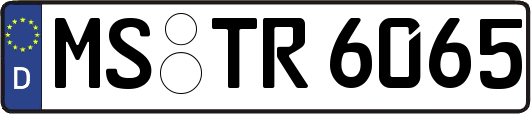 MS-TR6065
