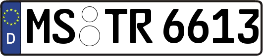 MS-TR6613