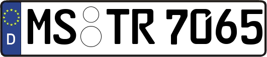 MS-TR7065
