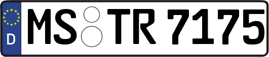 MS-TR7175