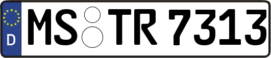 MS-TR7313