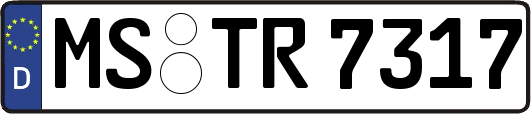 MS-TR7317