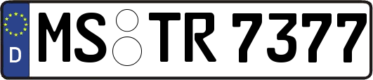 MS-TR7377