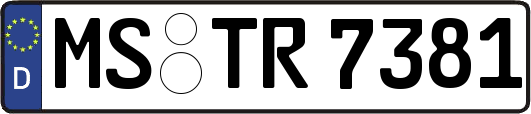 MS-TR7381