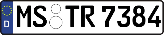 MS-TR7384