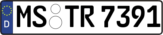 MS-TR7391