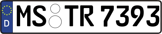 MS-TR7393