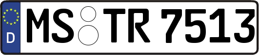 MS-TR7513