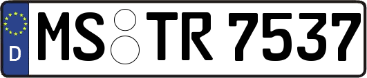 MS-TR7537