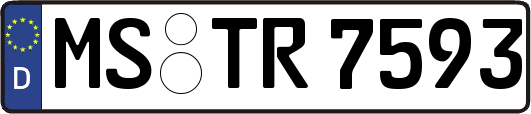 MS-TR7593