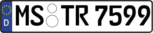 MS-TR7599