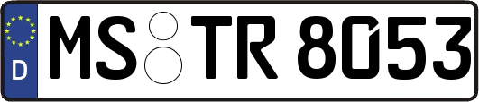 MS-TR8053