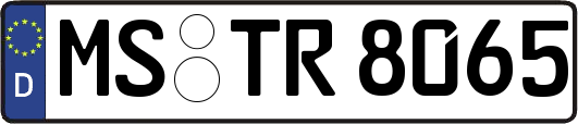 MS-TR8065