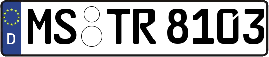 MS-TR8103