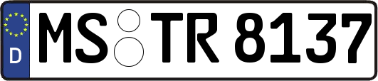 MS-TR8137