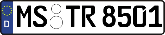 MS-TR8501