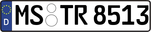 MS-TR8513