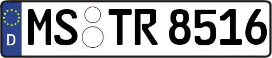 MS-TR8516
