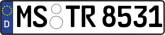 MS-TR8531