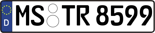 MS-TR8599