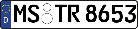 MS-TR8653