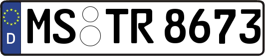 MS-TR8673