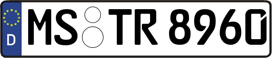MS-TR8960