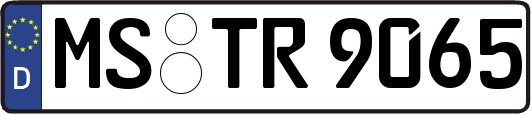 MS-TR9065