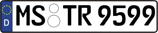 MS-TR9599