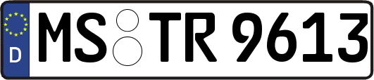 MS-TR9613