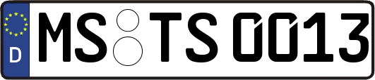 MS-TS0013