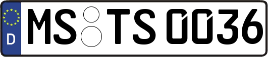 MS-TS0036