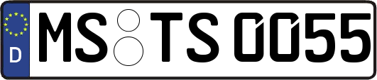 MS-TS0055