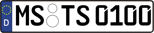 MS-TS0100