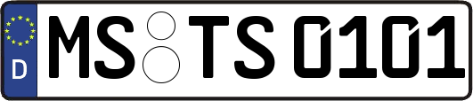 MS-TS0101