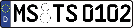 MS-TS0102
